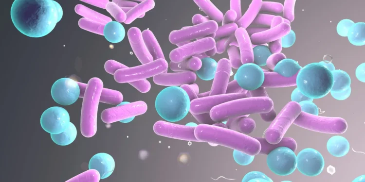 Shigella cases in Kozhikode